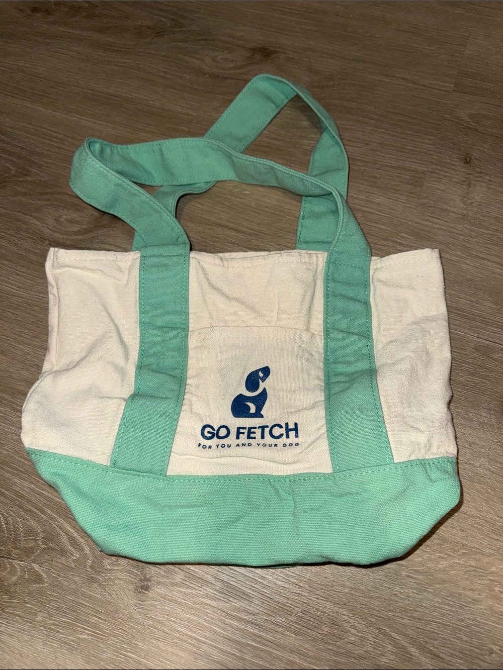 Canvas Tote Bag in Cream and Mint